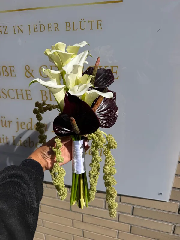 Moderner Strauß aus weißen Calla-Lilien und bordeauxroten Anthurien